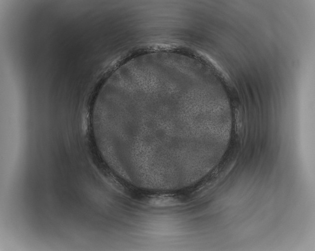 X0000112940451200909141350