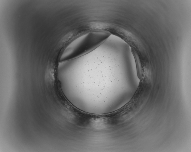 X0000112940452200909141350
