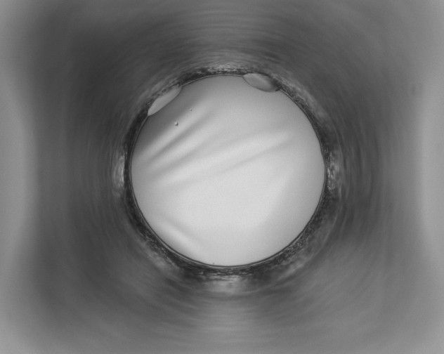 X0000112940454200909141350