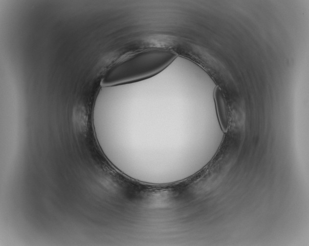 X0000112940456200909141350