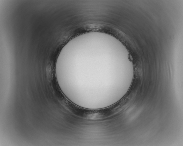 X0000112940460200909141350