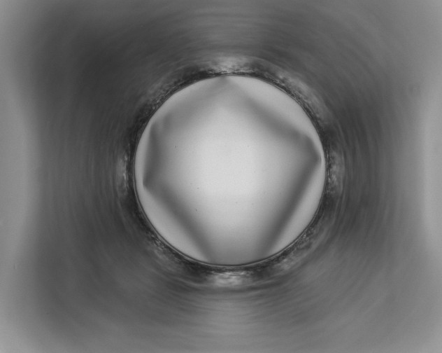 X0000112940461200909141350