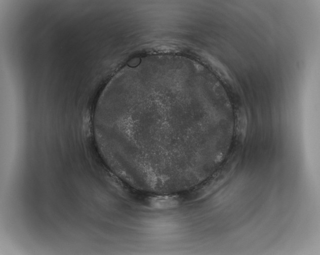 X0000112940465200909141350