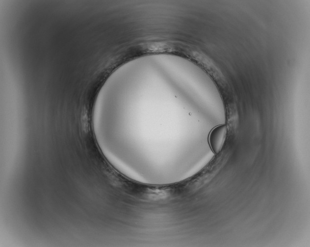 X0000112940469200909141350