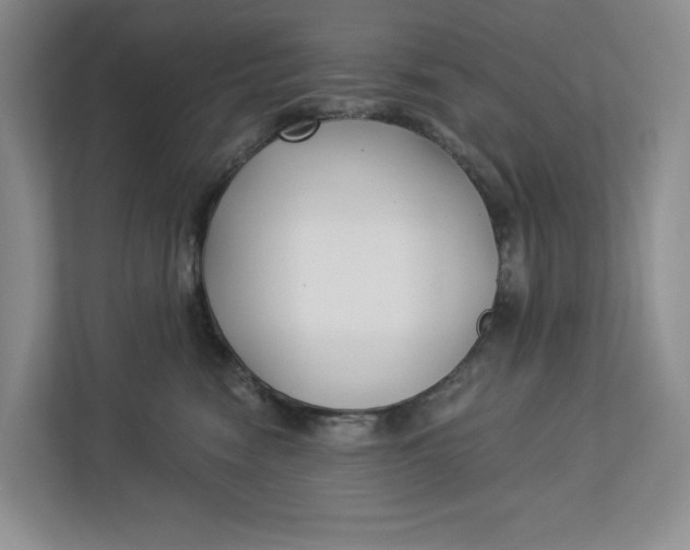 X0000112940474200909141350
