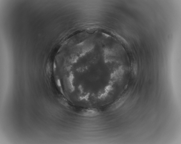 X0000112940475200909141350