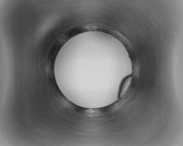 X0000112940477200909141351