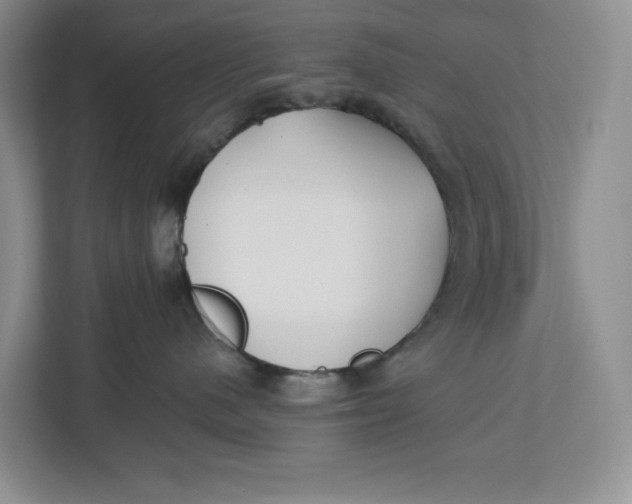 X0000112940480200909141351