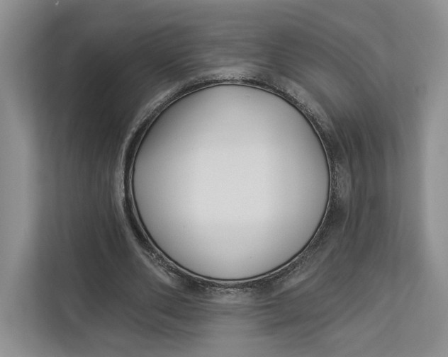 X0000112940486200909141350