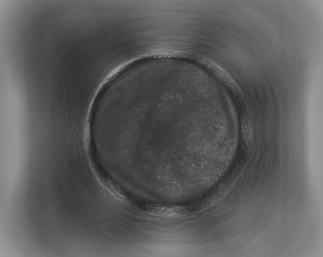 X0000112940488200909141350