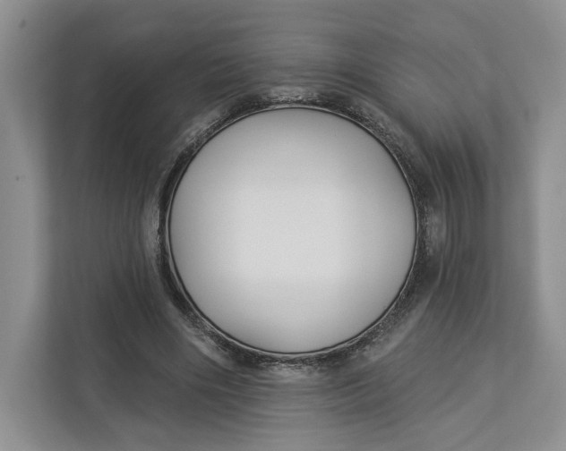 X0000112940490200909141350