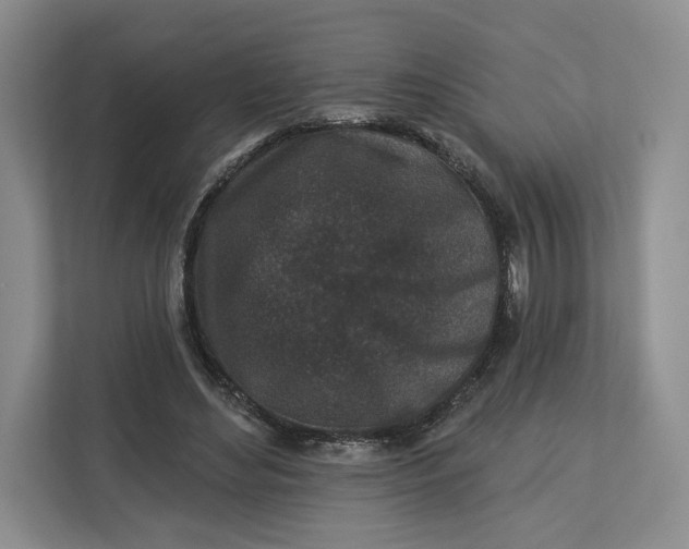 X0000112940492200909141350