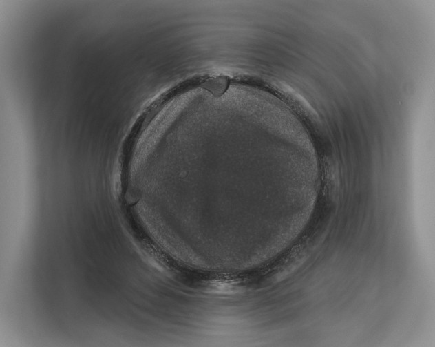 X0000112940496200909141350