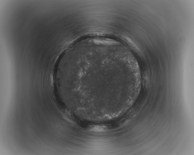X0000112940500200909141350