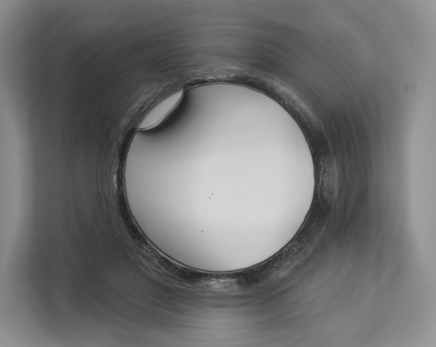X0000112940501200909141350