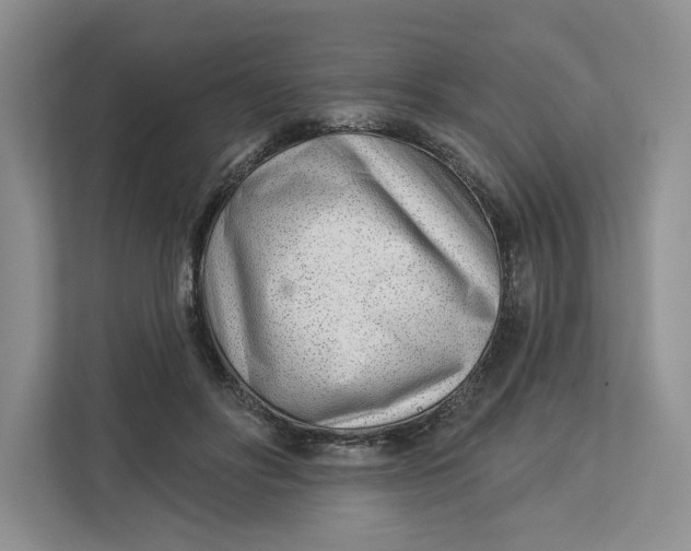 X0000112940502200909141350
