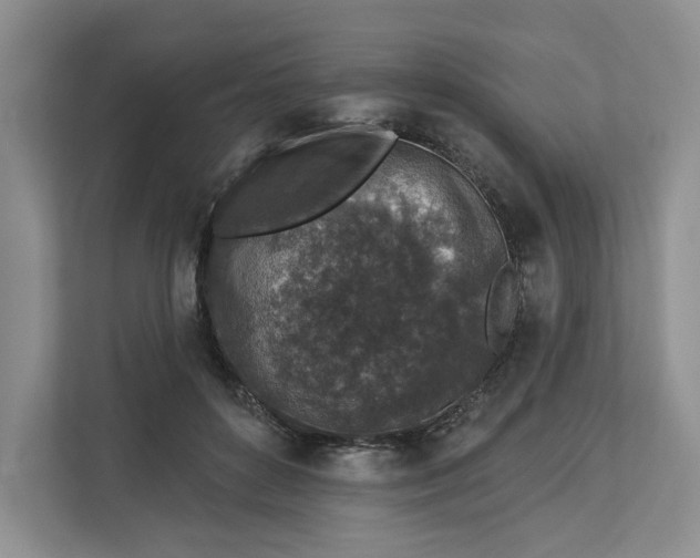 X0000112940504200909141350