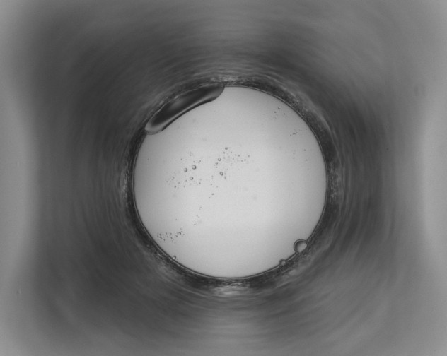 X0000112940505200909141350