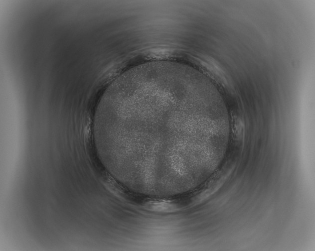 X0000112940507200909141350