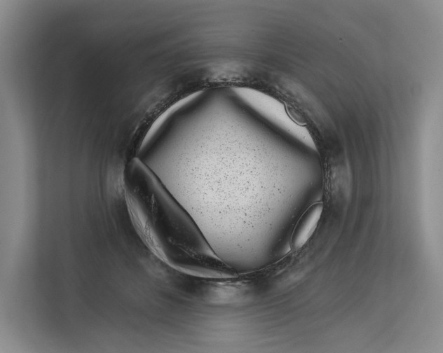 X0000112940508200909141350