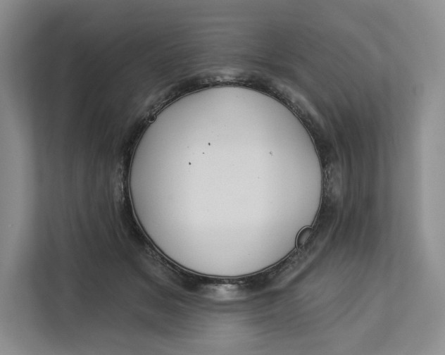 X0000112940509200909141350