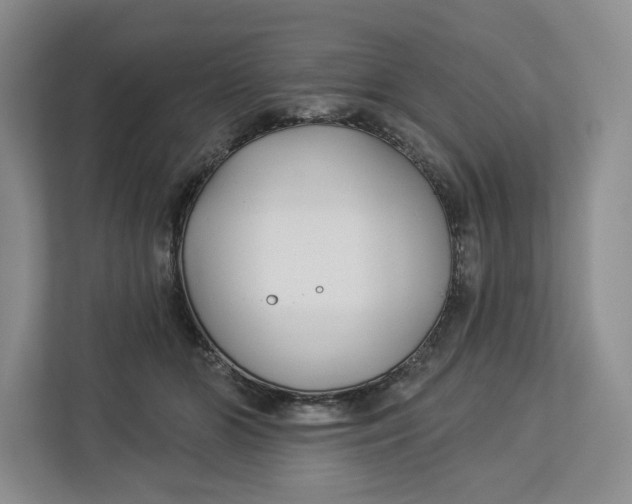 X0000112940510200909141350