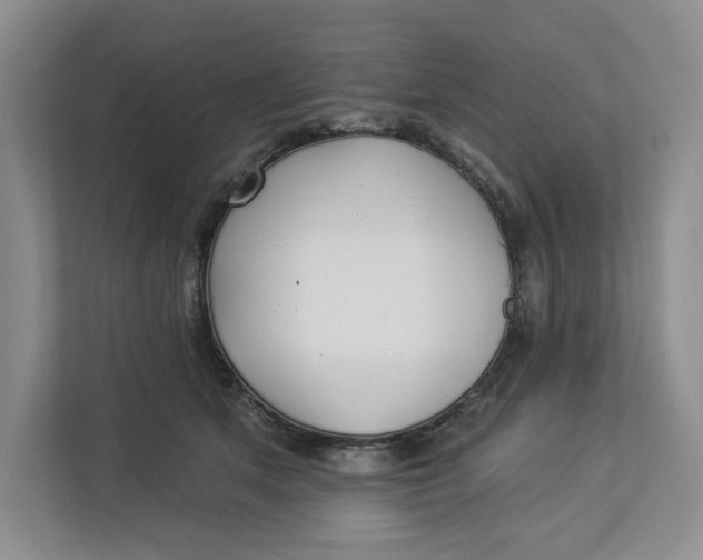 X0000112940513200909141350