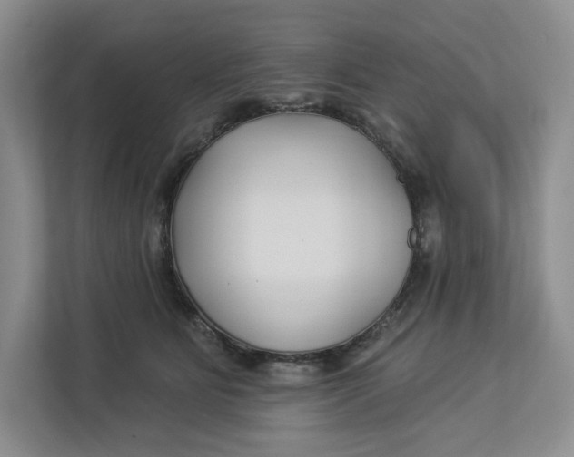 X0000112940515200909141349
