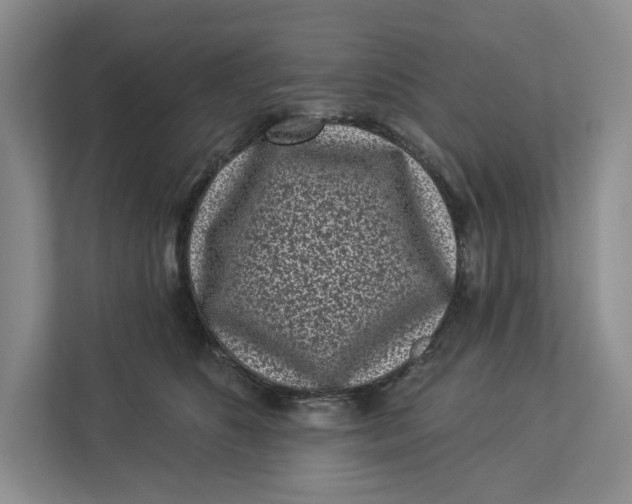 X0000112940516200909141349
