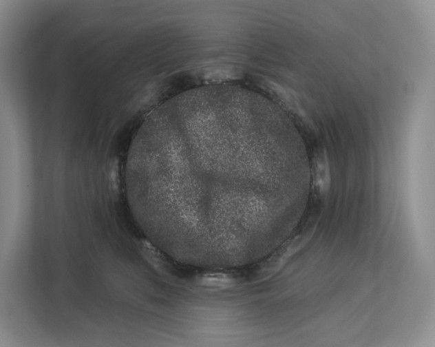 X0000112940519200909141349