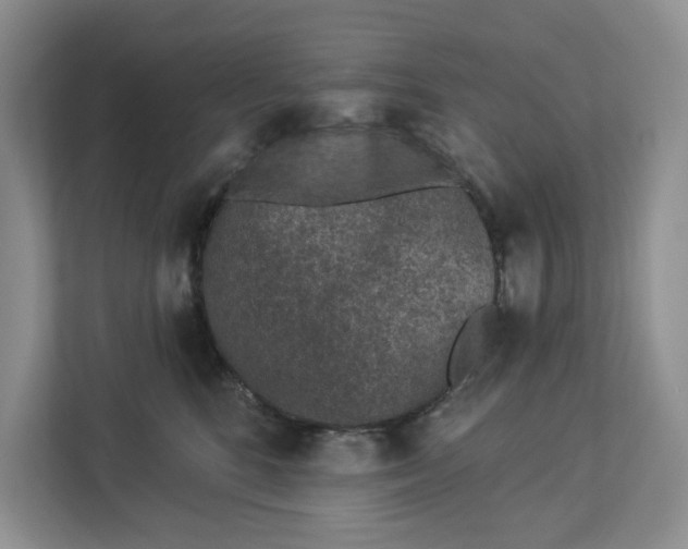 X0000112940520200909141349