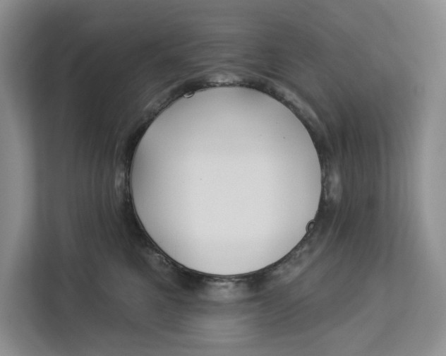 X0000112940521200909141349