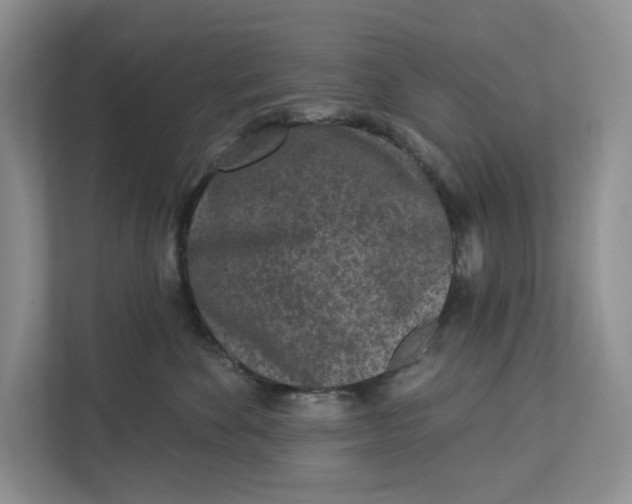 X0000112940524200909141349