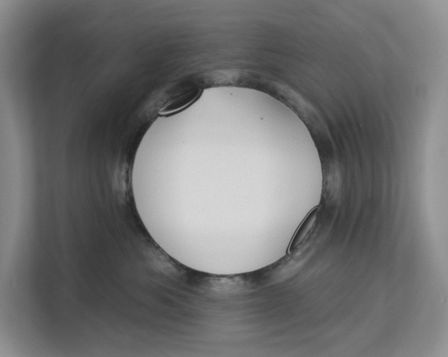 X0000112940525200909141349