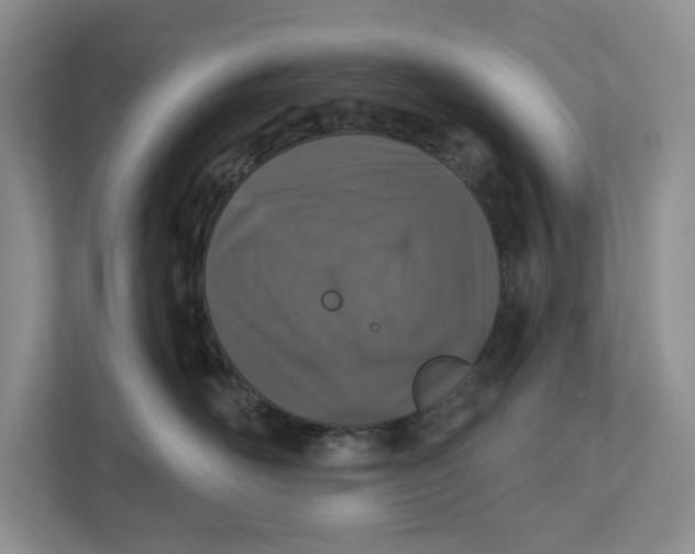 X0000112940526200909141349