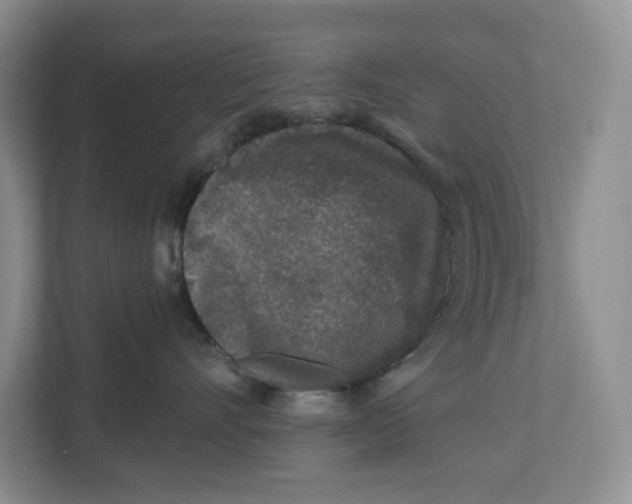 X0000112940528200909141349