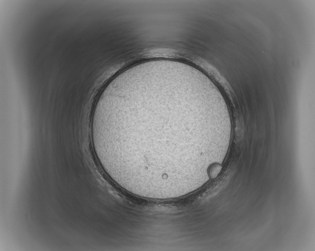 X0000112940529200909141349