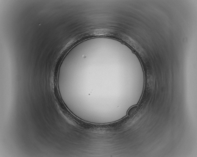 X0000112940530200909141349