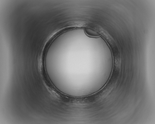 X0000112940532200909141349