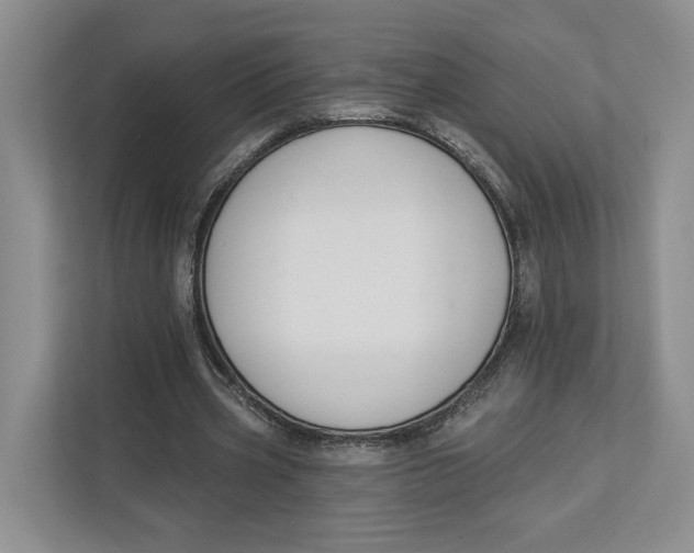 X0000112940533200909141349