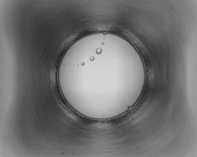 X0000112940537200909141349
