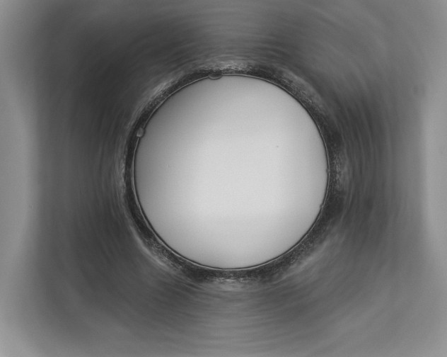 X0000112940538200909141349