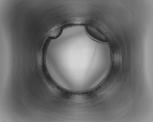 X0000112940540200909141349