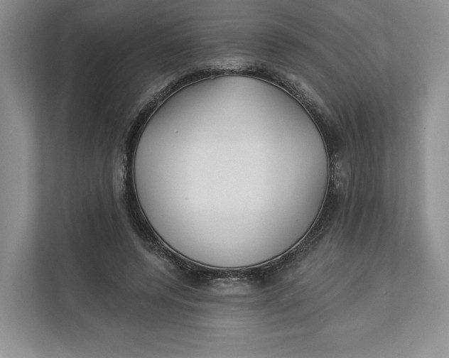 X0000112940544200909141349