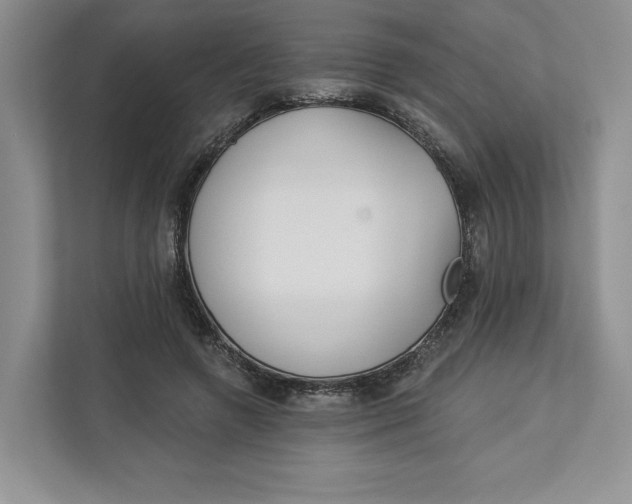 X0000112940546200909141349