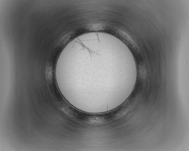 X0000112940549200909141349