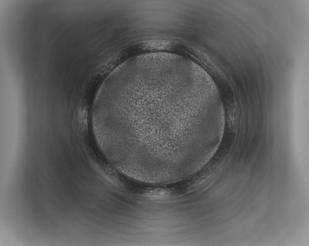 X0000112940551200909141349