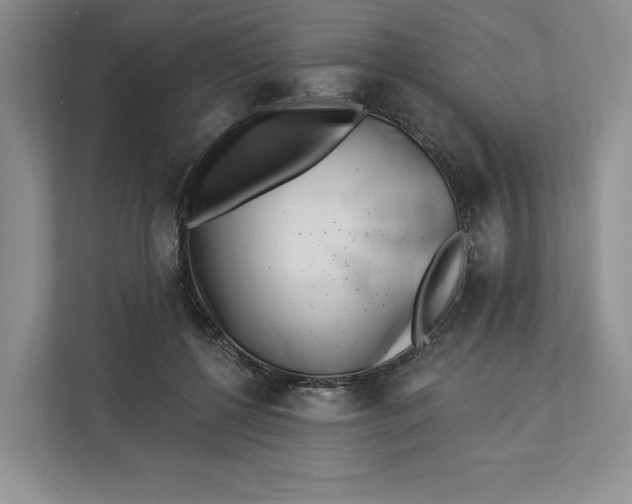 X0000112940552200909141349