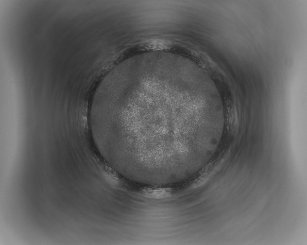 X0000112940553200909141349