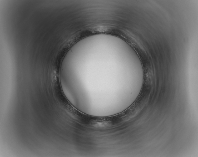 X0000112940555200909141349